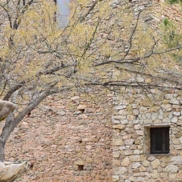 Ruta del Vino de Almansa | Ermita de San Roque en Alpera