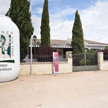 Museo Virgen de las Viñas de Tomelloso | Ruta del Vino de La Mancha