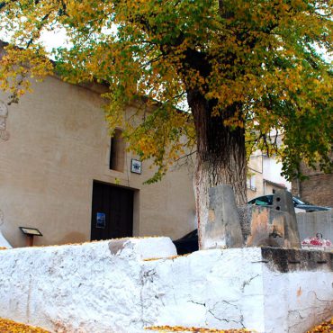 Vinos de Castilla la Mancha | Turismo Yeste