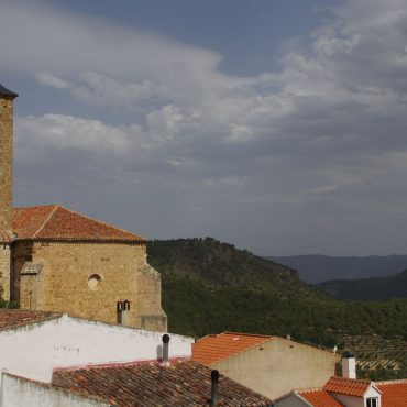Vinos de Castilla la Mancha | Turismo Yeste