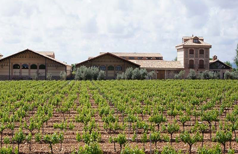 Bodegas Pago Casa del Blanco | Mejores bodegas en Ruta del Vino de Valdepeñas