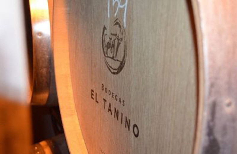 Bodegas El Tanino | Mejores bodegas en Ruta del Vino de Almansa