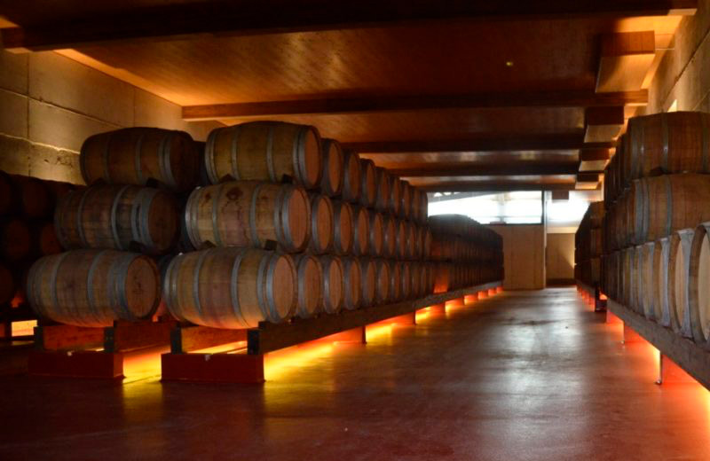 Bodegas Pago del Guijoso | Mejores bodegas en Ruta del Vino de La Mancha