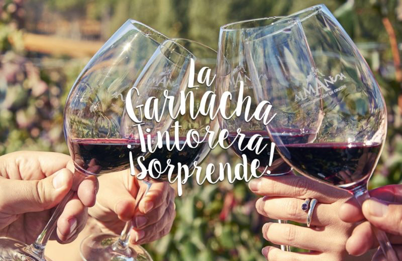 Bodegas Tintoralba | Mejores bodegas en Ruta del Vino de Almansa