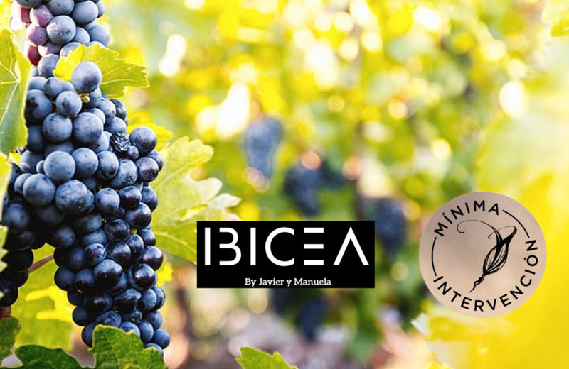Bodegas Ibicea | Mejores bodegas en Ruta del Vino de Toledo