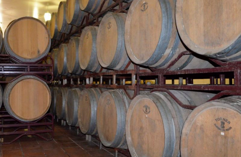 Bodegas Vitivinos | Mejores bodegas en Ruta del Vino de la Manchuela