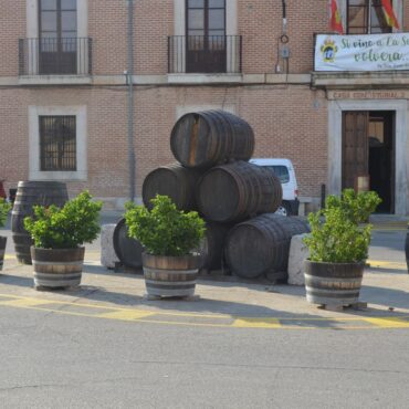 Ruta del Vino de Rueda | Enoturismo en Castilla y Leon